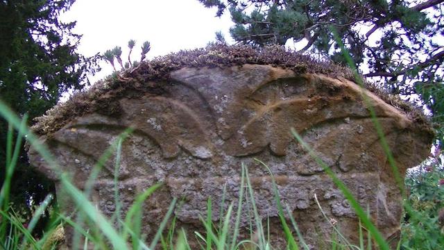 a small dark limestone grave stone, curved top covered in moss. maybe a floral or flames carving at the head. the lichen covered words below have weathered off except for most of the top line 'Here L__th the Bod_ of' prolly here lieth the bodie of. blades of grass in foreground. tree branches in background.