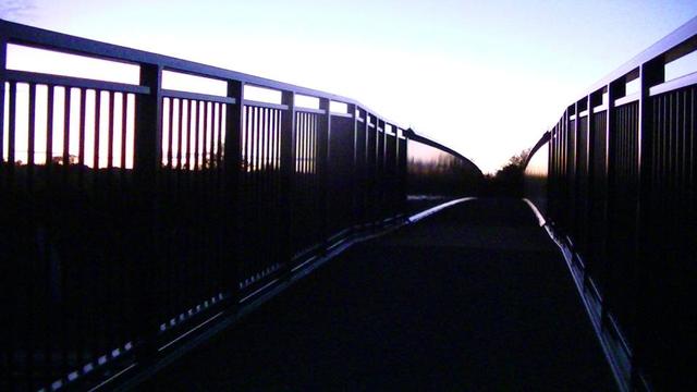 view along the walkway over a steel footbridge with shiny new paint. dark blue. there are railings then solid steel plates either side. the reflections on the steel plates looks like a row of trees on the horizon, but it ain't. it is just how the gloopy paint is reflecting randomly the dusky light.
edit; i suppose it might have something to do with trees. i will have to go back one day / dusk and check.