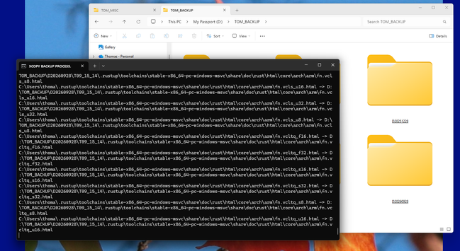 Screen shot of the backup in progress.