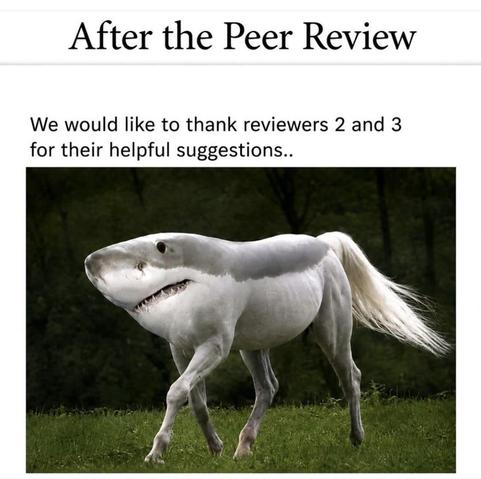 A humorous image featuring a creature that is a blend of a horse and a shark, with a horse's body and a shark's head. The top text states "After the Peer Review" and below it expresses thanks to reviewers 2 and 3