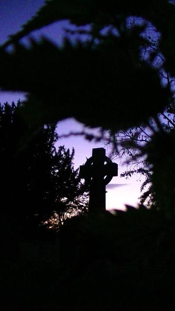 looking through some stinging nettles at a celtic shaped cross grave stone from the last century. silhouetted against a purple sky with tree and shrub.
