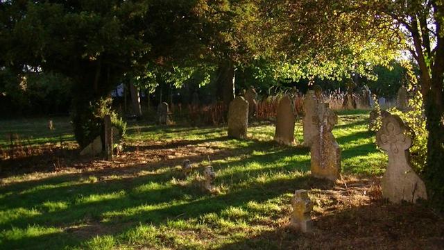 a graveyard with october sun low in the sky casting long shadows from the gravestones. the gravestones are under some trees with green leaves illuminated by the sunlight, some trees leaves starting to turn brown. graves in the distance overgrown with wildflowers now dead and brown.