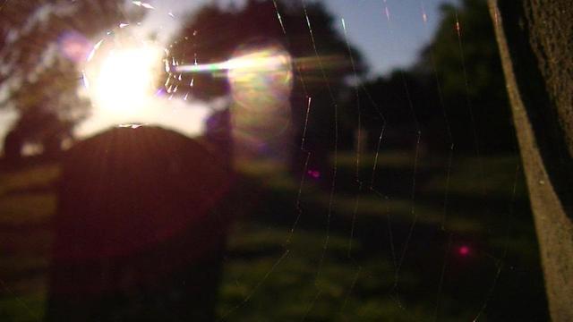 a view through a spiders web at a really low sun in a graveyard. lots of colours and lenz flare. colours refracting off of web also. 