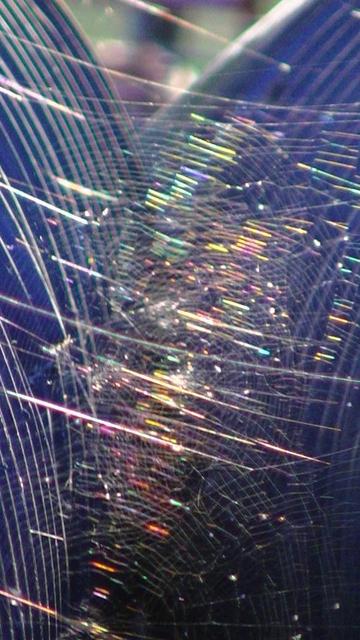a row of spiral type spiders webs between two stacks of ribbed culverts, refracting sunlight into colours.