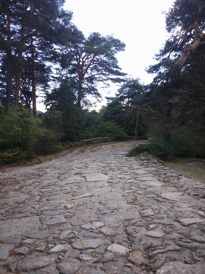 A bridge of stone build in the XVII or XVIII century with some tall trees in Cercedilla, Madrid