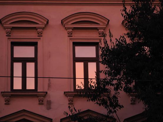zwei Fenster im Abendlicht, rechts daneben ein sehr dunkler Laubbaum